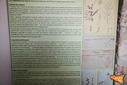 Santa Ninfa 19 11 2016 184.jpg